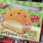 【最新アイス完食】明日2021年5月11日(火)ファミマで新発売！チョコチップメロンパンアイス【ファミリーマート】美味しいのかまずいのか！？詳しい感想は概要欄で