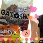 【コンビニスイーツ】5月4日新発売!!!!ガトシュー買えました!!【クルリン】【ウチカフェ】期待していたのに………悲しいロン毛