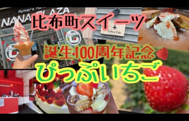 比布町の限定スイーツ食べ歩き