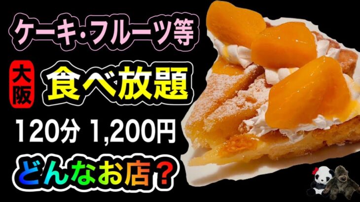 大阪【ケーキ食べ放題】120分1,200円！衝撃コスパの全貌をご紹介！タルトケーキやフルーツ等も食べ放題＆飲み放題＆テーブルオーダー【デザートバイキング】 菜香 上本町YUFURA(ユフラ) vlog