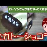 【141】コンビニスイーツの話-生ガトーショコラ編