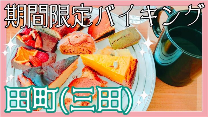 ALLグルテンフリー（1部Vegan）スイーツバイキング？～人気YouTuber　sanの動画見て速攻行って来ました～