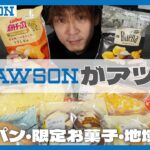 【コンビニ】ローソンで人気の新作スイーツパン/お菓子/地域限定/ポテトチップスを食べてみたら予想以上に美味しかった！【ローソン】