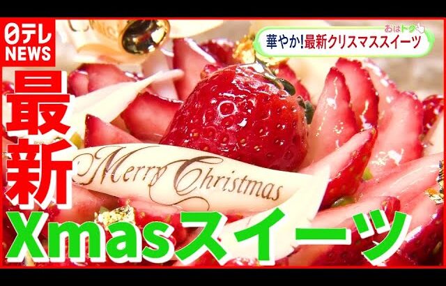 【駅直結】イチゴ２０個も使用！ 最新クリスマススイーツ　新宿＆上野編