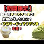 【期間限定】超濃厚チーズケーキが新越谷ヴァリエに！ラ・フロマージュマリアンヌ出店！