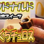 マクドナルド 期間限定スイーツ ひとくちチュロス 食べてみた