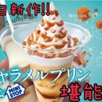 【コンビニスイーツ】5月6日新作!!塩キャラメルプリンパフェ!!【ミニストップ】甘味と塩味の絶妙なハーモニー!!食うしかないでしょ？