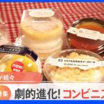 【特集】劇的進化！コンビニスイーツ最前線｜TBS NEWS DIG