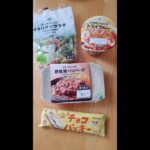 【実録コンビニごはん】セブンイレブンでブランチ！鉄板焼ハンバーグ｜サラダ｜ドライカレー｜チョコバッキー #shorts