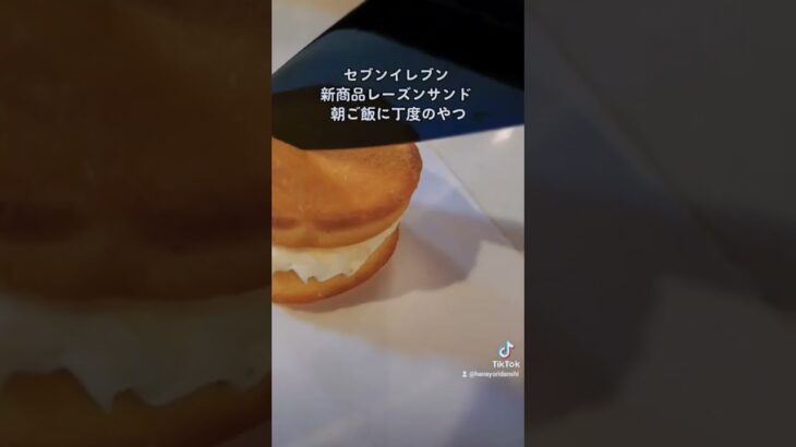 【コンビニスイーツ】セブンイレブン神スイーツ！新商品のレーズンサンドは食べるべきやで！