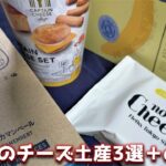 東京駅のお土産チーズスイーツ3選！JR東京駅改札内で買えるオススメお土産【Now on Cheese/東京ミルクチーズ工場/キャプテンチーズ東京/東京ばな奈】