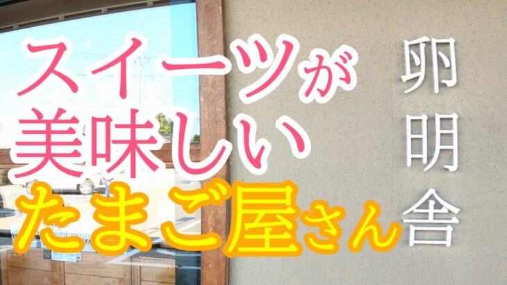 宇都宮ブレックス優勝おめでとう！期間限定割引セール開催中！たまご屋さんなんだけどスイーツがンまいのダ！卵明舎【宇都宮市針ケ谷町】Japanese Food -Sweets- in Utsunomiya