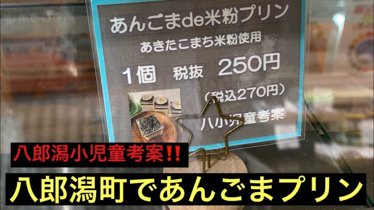 【あんごまプリン】八郎潟町の最新スイーツ‼️