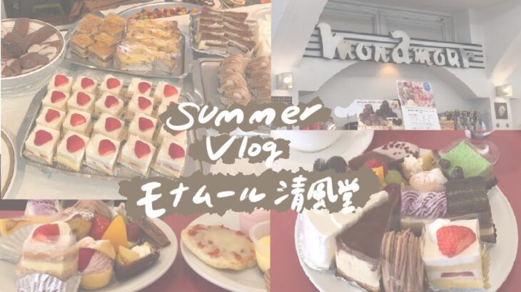 【Vlog】みんなそろった日の休日。モナムール清風堂ケーキバイキング🍰/東京/府中/スイーツ