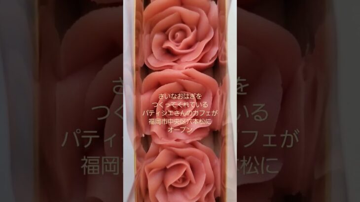 お取り寄せ 和菓子 スイーツ 送料無料