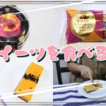 【コンビニスイーツ】おやつを食べるよ♪#蜜芋ブリュレ#紅はるかのスイートポテトスティック#ファミリーマート