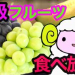 【高級フルーツ食べ放題】ケーキもフルーツもハーゲンダッツも何でも食べ放題!!スイパラ【スイーツバイキング】