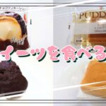 【コンビニスイーツ】おやつを食べるよ♪#チョコクッキーシュー#濃厚卵のレトロプリン#ファミリーマート#セブンイレブン