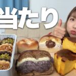 今しか食べられない！？期間限定チーズケーキが美味しすぎた！【お取り寄せ3選】