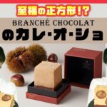 【期間限定】昨年、完売が相次いだ あの「和栗のカレ・オ・ショコラ」