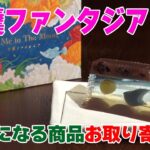 【気になる商品お取り寄せ！】羊羹ファンタジア