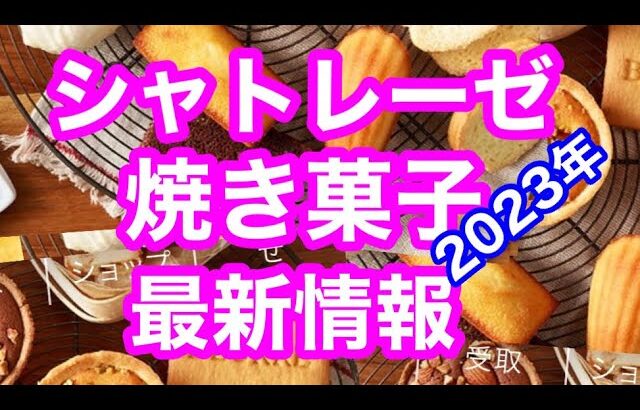 🍓登録🙇🍓シャトレーゼ　最新焼き菓子最新　シャトレーゼ　和菓子　2023年https://www.youtube.com/watch?v=w8SjOs-n81Y