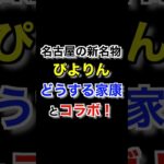 【爆発的人気】名古屋名物スイーツ「ぴよりん」に期間限定「徳川ぴよ康」が登場で長蛇の列！#shorts