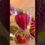 2/8-2/12まで期間限定🍓いちご狩り風なポップアップカフェin白金台🍓八芳園プロデュースMuSuBu #東京 #パンケーキ #福岡あまおう #スイーツ #pancake #pancakes