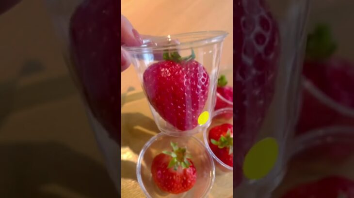 2/8-2/12まで期間限定🍓いちご狩り風なポップアップカフェin白金台🍓八芳園プロデュースMuSuBu #東京 #パンケーキ #福岡あまおう #スイーツ #pancake #pancakes