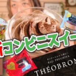 【元調理師レビュー】テオブロマ＆GODIVAその他にもオススメ最新ショコラスイーツ【コンビニスイーツ】ミニストップ・ファミリーマート