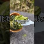 【ミニストップ新作ソフト】宇治抹茶をたっぷり使った期間限定ソフトクリームを食べてみての感想。 #抹茶スイーツ