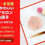 かわいいキットお取り寄せ♥桜餅マカロン＆三色団子♥羊毛フェルトの作り方♥ダイジェスト版