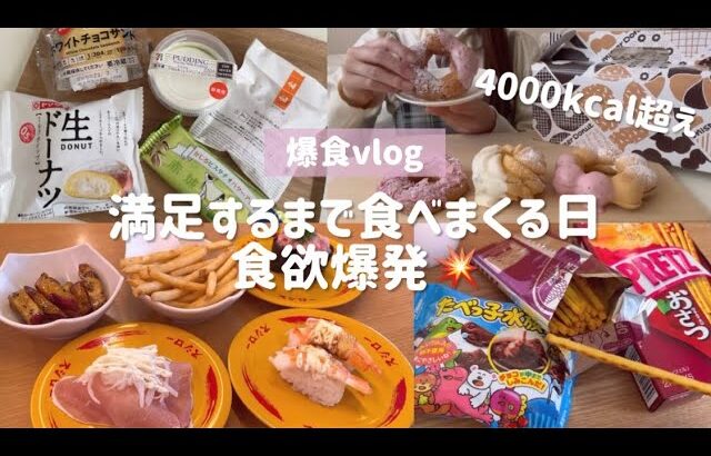 【爆食vlog】好きなだけ食べる日。ミスド🍩/スシロー🍣/コンビニスイーツ🧁