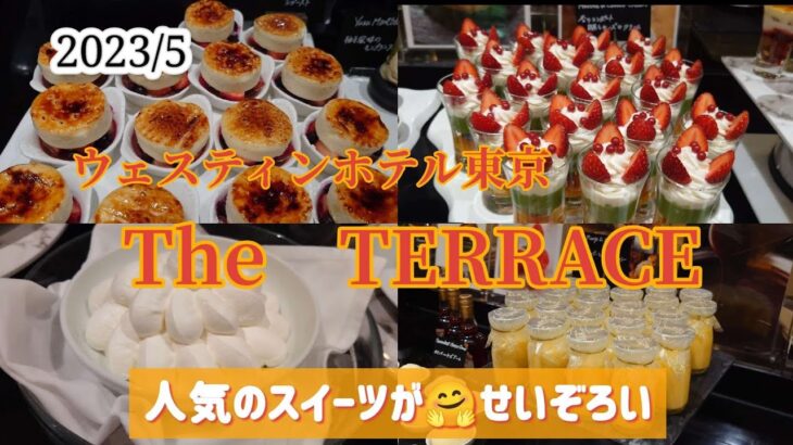 ５月編❣みんな大好き🤭きれいなスイーツが食べ放題🍫🍓