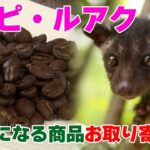 【気になる商品お取り寄せ！】コピ・ルアク