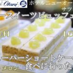 【ホテルニューオータニ大阪】噂のスーパーショートケーキを食べてきました！【サツキラウンジ 】スーパースイーツビュッフェSATSUKIメロン・マンゴー 大阪グルメ ホテルビュッフェ スイーツビュッフェ