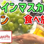 【食べ放題】スイーツパラダイスでぶどう狩り！！今年もこの季節がやって来た！