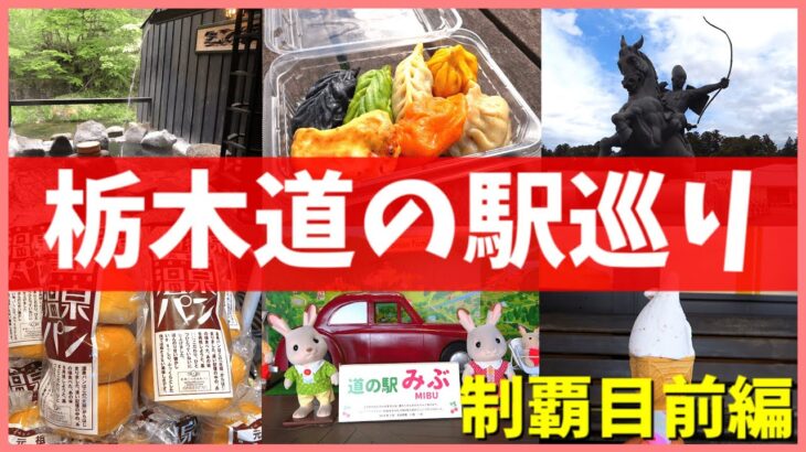 【道の駅 栃木県】格安穴場温泉に最新餃子！最新イチゴスイーツを味わえるオススメ道の駅を巡ってみた！【宇都宮LRT 情報も！】