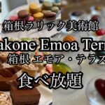 【食べ放題】箱根でスイーツビュッフェ🍰ジュエリーの様に煌めくチョコレートが食べ放題✨💎✨#箱根グルメ#箱根エモアテラス