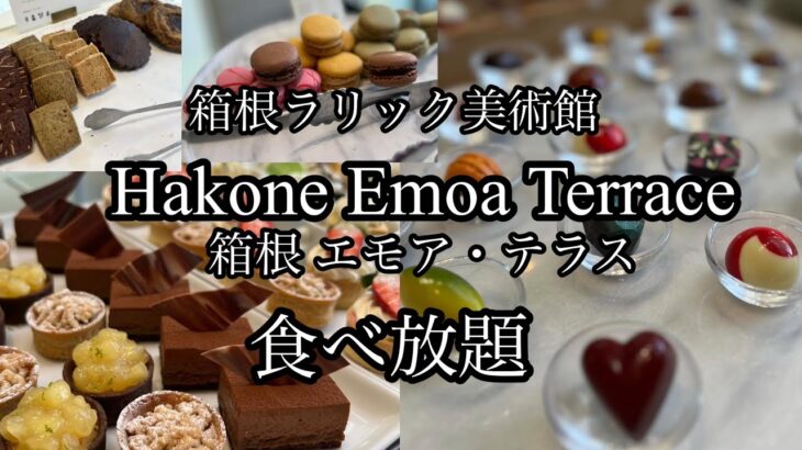 【食べ放題】箱根でスイーツビュッフェ🍰ジュエリーの様に煌めくチョコレートが食べ放題✨💎✨#箱根グルメ#箱根エモアテラス