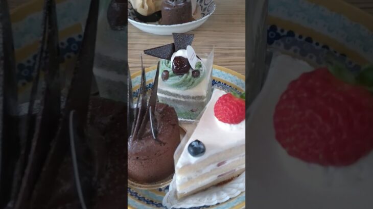 3人目誕生前に初ケーキバイキング