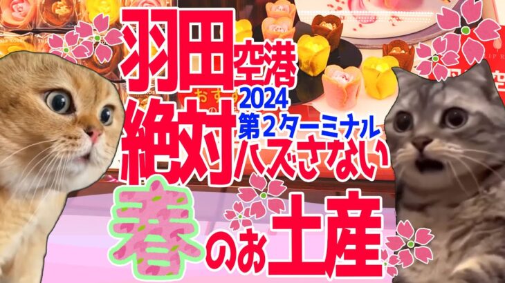 【猫ミーム】羽田空港　第二ターミナル2024春・最新・絶対ハズさない！おすすめスイーツ！【空港お土産】