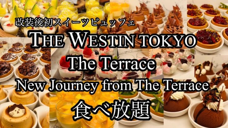 【食べ放題】ウェスティンホテル東京ザ・テラスの期間限定スイーツビュッフェ🍰『New Journey from The Terrace』