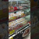 小田原ラスカに期間限定で出店しているクリームたっぷりのスイーツがらなんとも美味しそうすぎた！！#shorts