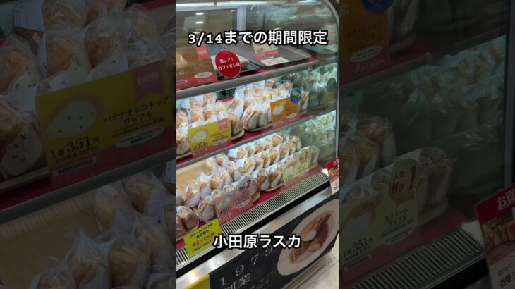 小田原ラスカに期間限定で出店しているクリームたっぷりのスイーツがらなんとも美味しそうすぎた！！#shorts