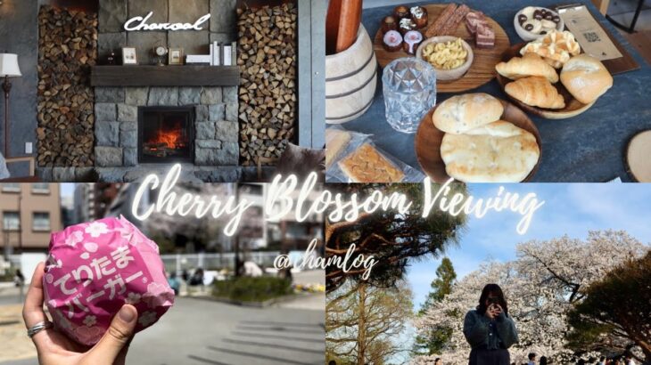 【vlog】朝5時までスイーツバイキングを楽しめるシーシャカフェ&バー「charcoal 三軒茶屋店」行った日と新宿御苑でお花見した日