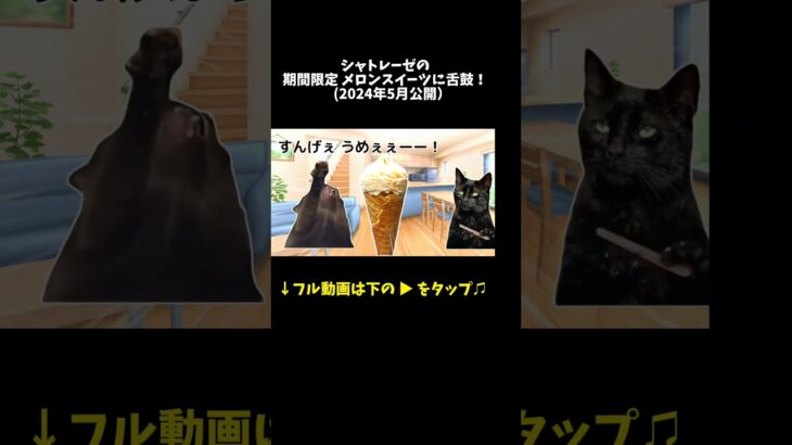 【ショート版】シャトレーゼの期間限定メロンスイーツに舌鼓！【猫ミーム】 #shorts