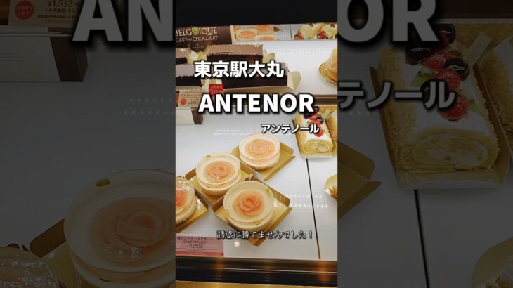 🍰期間限定販売「まるごと桃ケーキ」🍑東京駅大丸【ANTENOR】さん💗『誘惑に勝てませんでした🤭』の巻#ショート #shorts #short