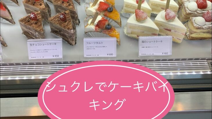 【大食い】シュクレでケーキ食べ放題