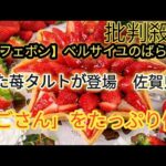 【キルフェボン新作】ベルサイユのばらをイメージした豪華いちごタルト登場！🍓✨